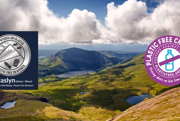 View from Snowdon with plastic free logos